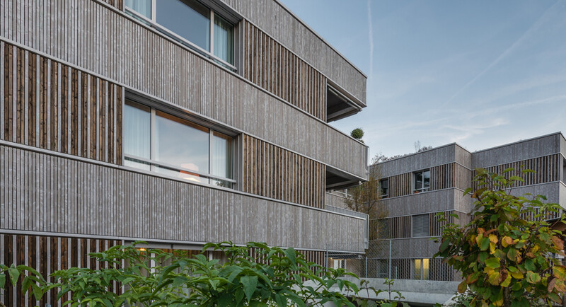 Neubau Siedlung VIVA, Adliswil